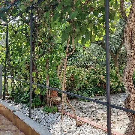 Lejlighed Petretic 2 *