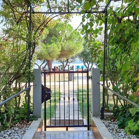 Petretic 2 Novigrad Istria