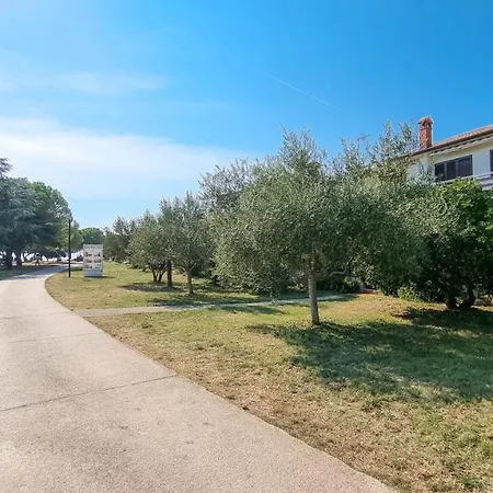 Petretic 2 Novigrad Istria