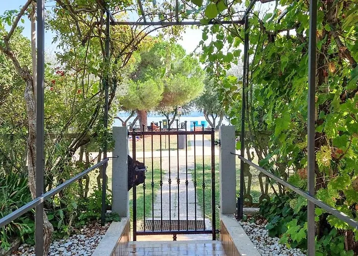 Petretic 2 Novigrad Istria