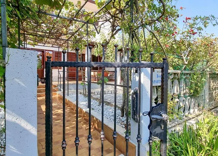 Petretic 2 Novigrad Istria