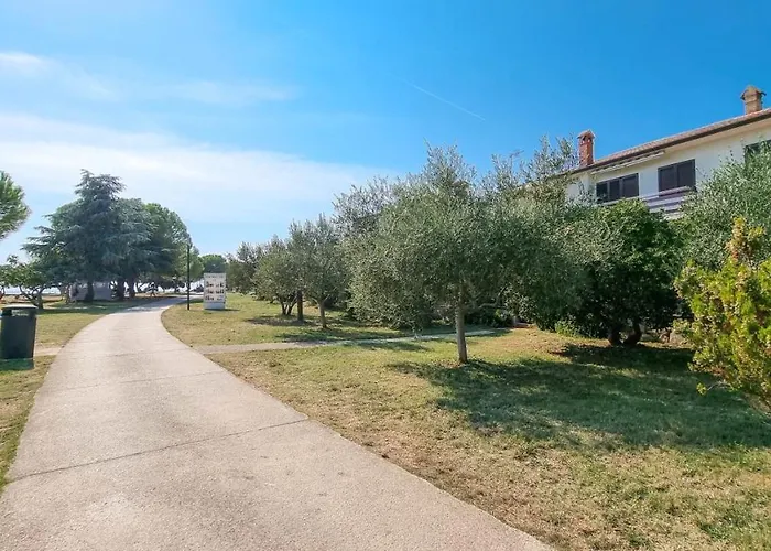 Petretic 2 Novigrad Istria